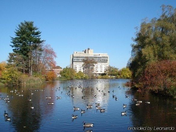 Hotel UMass Amherst Einrichtungen foto